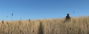 APERTURA AL CAMPO