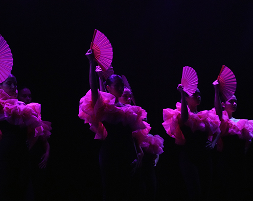 voglio vederti danzare ph e. la rosa (14)
