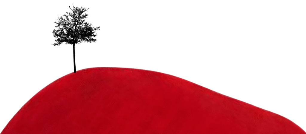 presidio-25-newsletter-1024x450