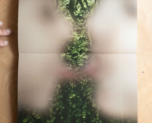 16 gen 1 marzo mostra io sono il bosco_ ph Futura Tittaferrante (5)