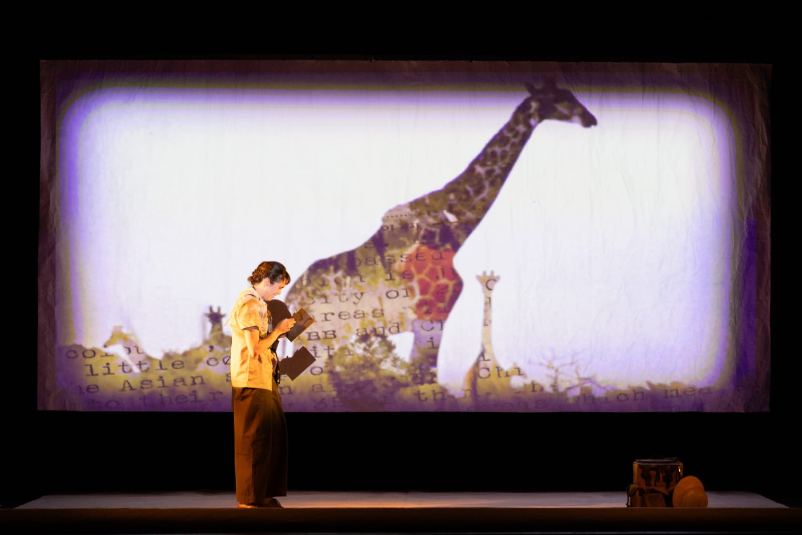 GIRAFFE | Compagnia TeatroViola